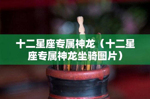十二星座专属神龙(十二星座专属神龙坐骑图片) 十二星座专属神龙(十二星座专属神龙坐骑图片)