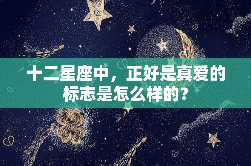 十二星座中，正好是真爱的标志是怎么样的？