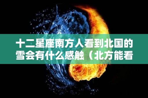 十二星座南方人看到北国的雪会有什么感触（北方能看到什么星座）