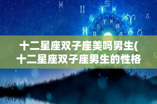 十二星座双子座美吗男生(十二星座双子座男生的性格)