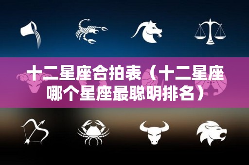 十二星座合拍表（十二星座哪个星座最聪明排名）