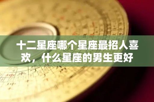 十二星座哪个星座最招人喜欢，什么星座的男生更好