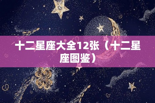 十二星座大全12张（十二星座图鉴）