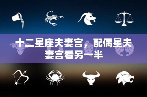 十二星座夫妻宫，配偶星夫妻宫看另一半