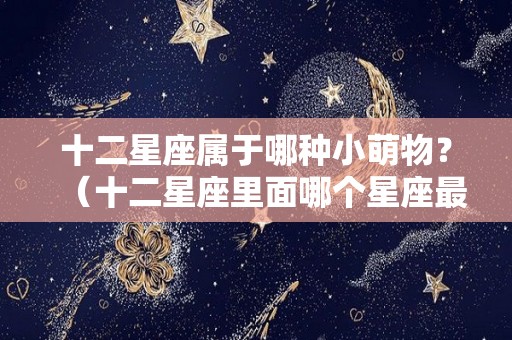 十二星座属于哪种小萌物？（十二星座里面哪个星座最萌）