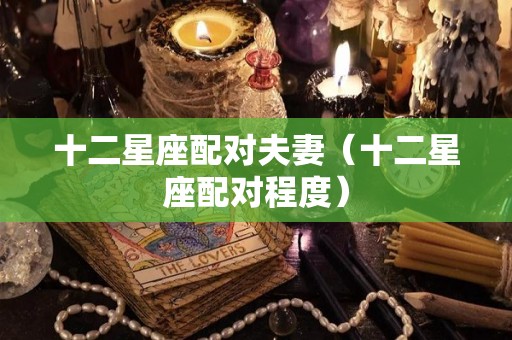 十二星座配对夫妻（十二星座配对程度）