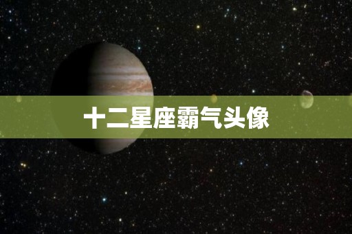 十二星座霸气头像