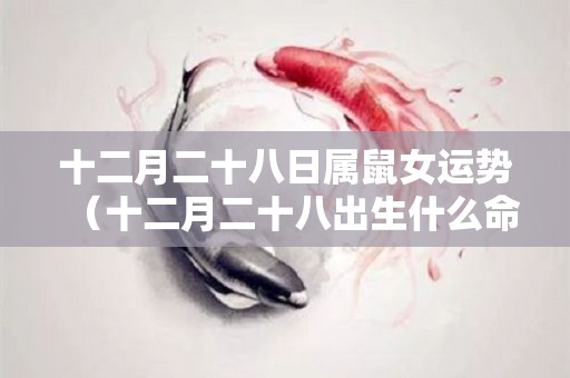 十二月二十八日属鼠女运势（十二月二十八出生什么命运）