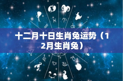 十二月十日生肖兔运势（12月生肖兔）