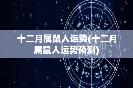 十二月属鼠人运势(十二月属鼠人运势预测)