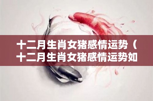 十二月生肖女猪感情运势（十二月生肖女猪感情运势如何）