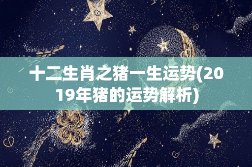 十二生肖之猪一生运势(2019年猪的运势解析)