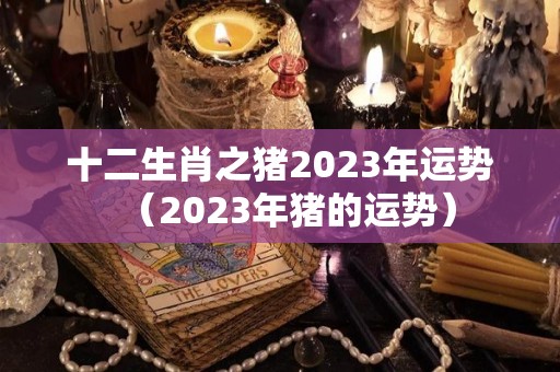 十二生肖之猪2023年运势（2023年猪的运势）