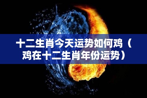 十二生肖今天运势如何鸡（鸡在十二生肖年份运势）