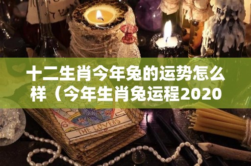 十二生肖今年兔的运势怎么样（今年生肖兔运程2020）