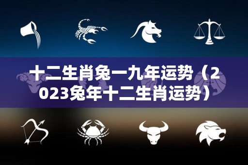 十二生肖兔一九年运势（2023兔年十二生肖运势）