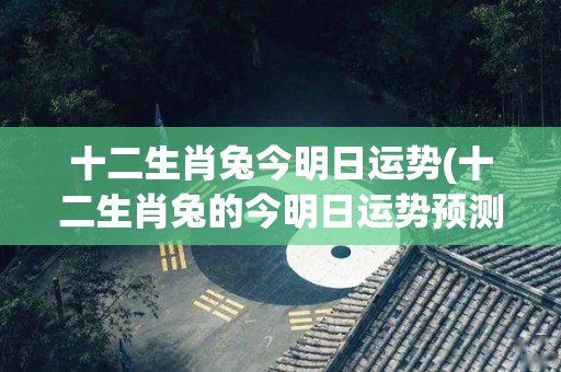 十二生肖兔今明日运势(十二生肖兔的今明日运势预测)