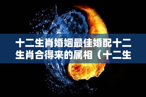 十二生肖婚姻最佳婚配十二生肖合得来的属相（十二生肖最佳婚配,你找对人了吗?仅供参考哦）