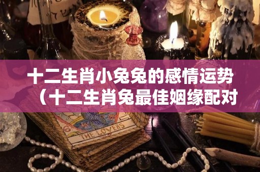 十二生肖小兔兔的感情运势（十二生肖兔最佳姻缘配对）