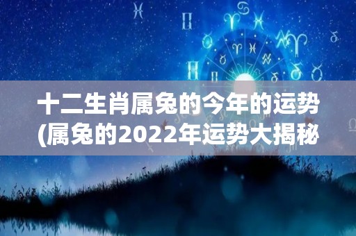 十二生肖属兔的今年的运势(属兔的2022年运势大揭秘)
