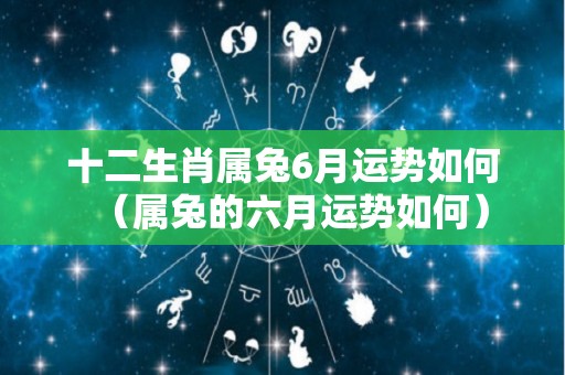 十二生肖属兔6月运势如何（属兔的六月运势如何）