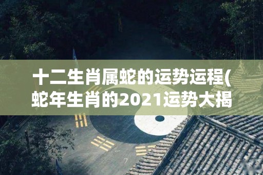 十二生肖属蛇的运势运程(蛇年生肖的2021运势大揭秘)