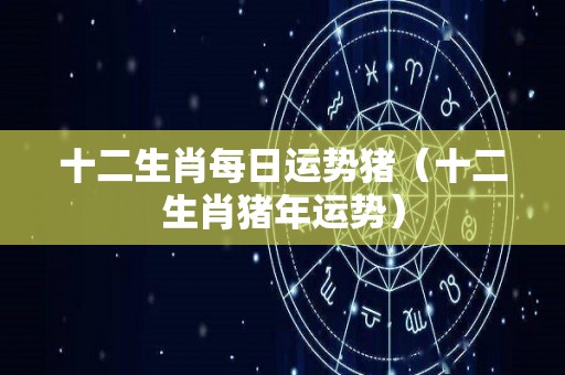 十二生肖每日运势猪（十二生肖猪年运势）