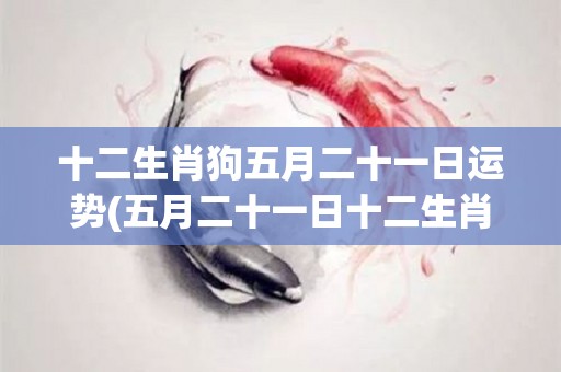 十二生肖狗五月二十一日运势(五月二十一日十二生肖狗的运势预测)