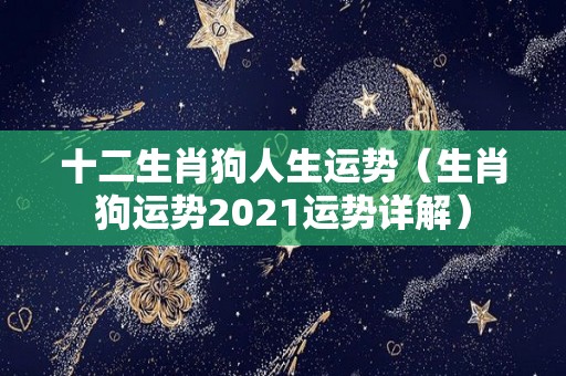 十二生肖狗人生运势（生肖狗运势2021运势详解）