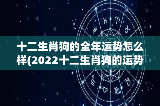 十二生肖狗的全年运势怎么样(2022十二生肖狗的运势全解析)