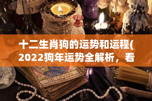 十二生肖狗的运势和运程(2022狗年运势全解析，看看十二生肖狗的未来如何？)