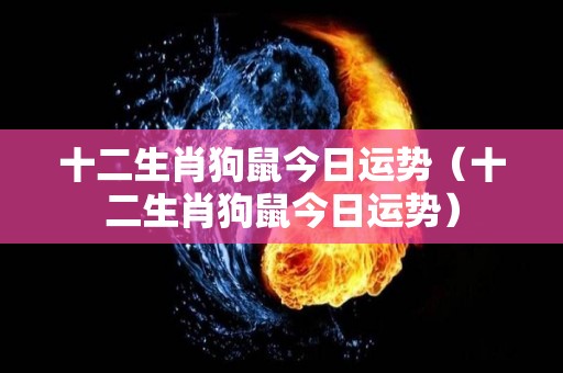 十二生肖狗鼠今日运势（十二生肖狗鼠今日运势）