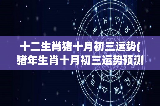 十二生肖猪十月初三运势(猪年生肖十月初三运势预测)
