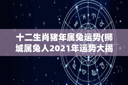 十二生肖猪年属兔运势(狮城属兔人2021年运势大揭秘！)