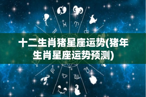十二生肖猪星座运势(猪年生肖星座运势预测)