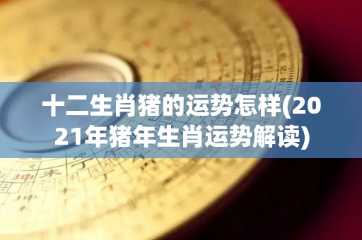 十二生肖猪的运势怎样(2021年猪年生肖运势解读)