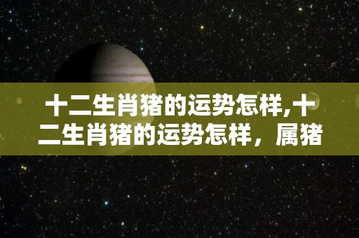 十二生肖猪的运势怎样,十二生肖猪的运势怎样，属猪人的运势怎样，
