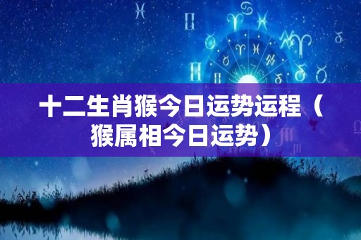 十二生肖猴今日运势运程（猴属相今日运势）