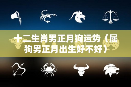 十二生肖男正月狗运势（属狗男正月出生好不好）