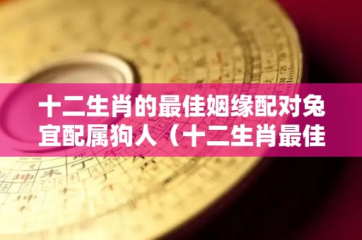 十二生肖的最佳姻缘配对兔宜配属狗人（十二生肖最佳婚配表兔）