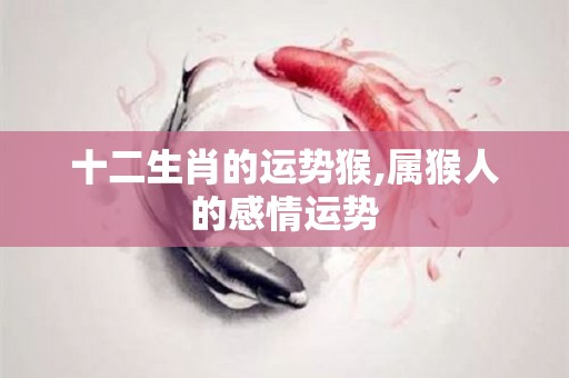 十二生肖的运势猴,属猴人的感情运势