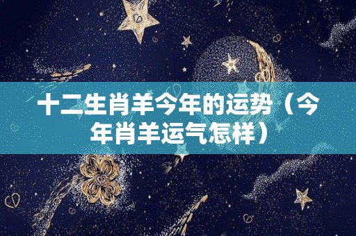 十二生肖羊今年的运势（今年肖羊运气怎样）