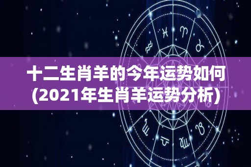 十二生肖羊的今年运势如何(2021年生肖羊运势分析)