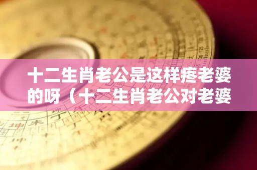 十二生肖老公是这样疼老婆的呀（十二生肖老公对老婆怎么样）