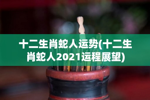 十二生肖蛇人运势(十二生肖蛇人2021运程展望)