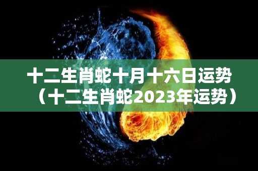 十二生肖蛇十月十六日运势（十二生肖蛇2023年运势）