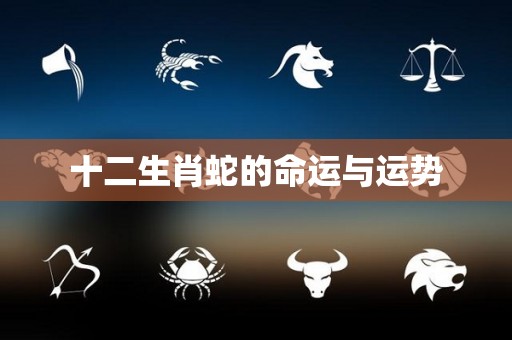 十二生肖蛇的命运与运势