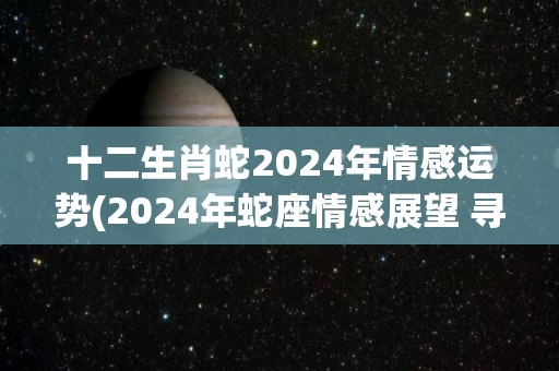 十二生肖蛇2024年情感运势(2024年蛇座情感展望 寻找爱情新天地)