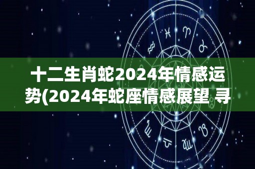 十二生肖蛇2024年情感运势(2024年蛇座情感展望 寻找爱情新天地)