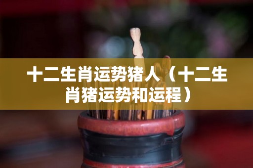十二生肖运势猪人（十二生肖猪运势和运程）